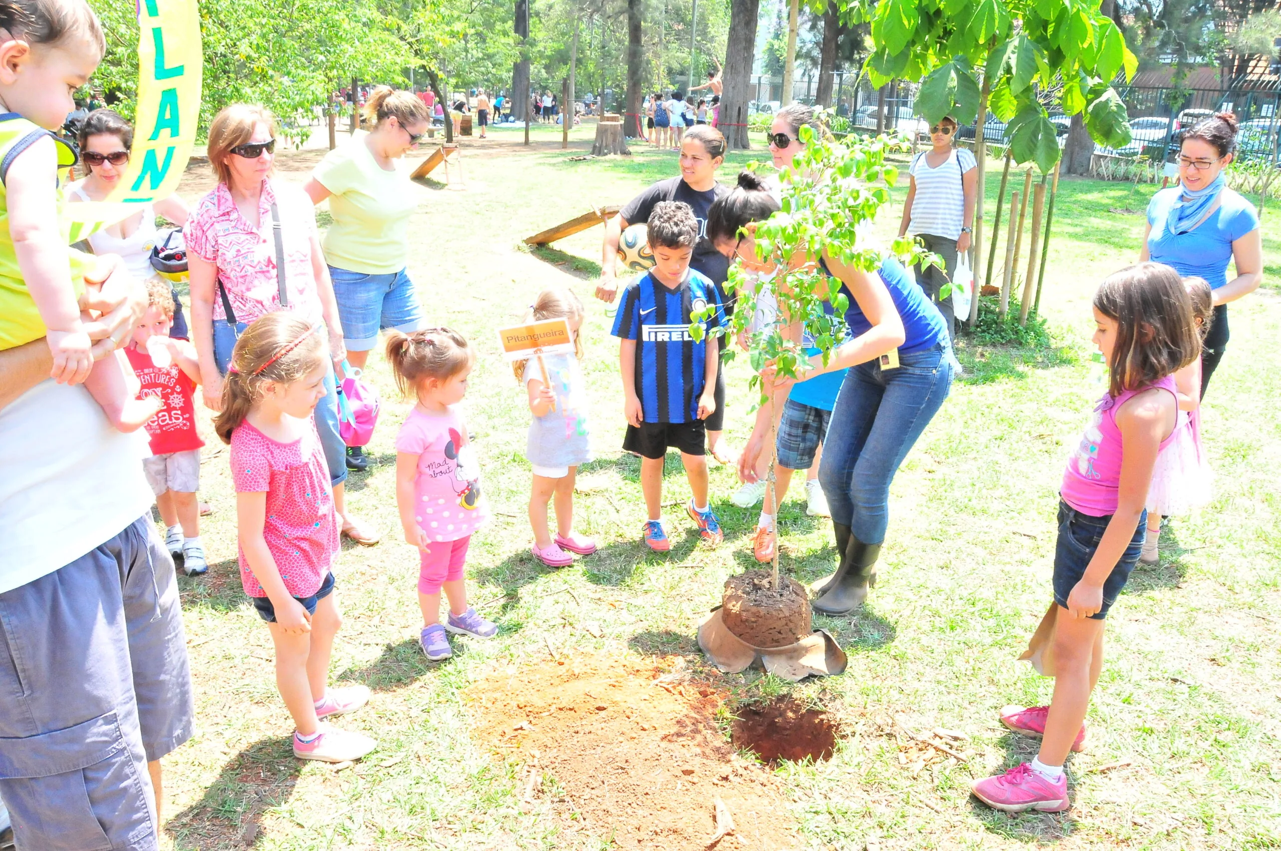 Dia da Árvore no Parque Severo Gomes