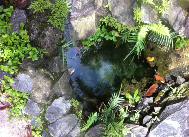 friburgo3