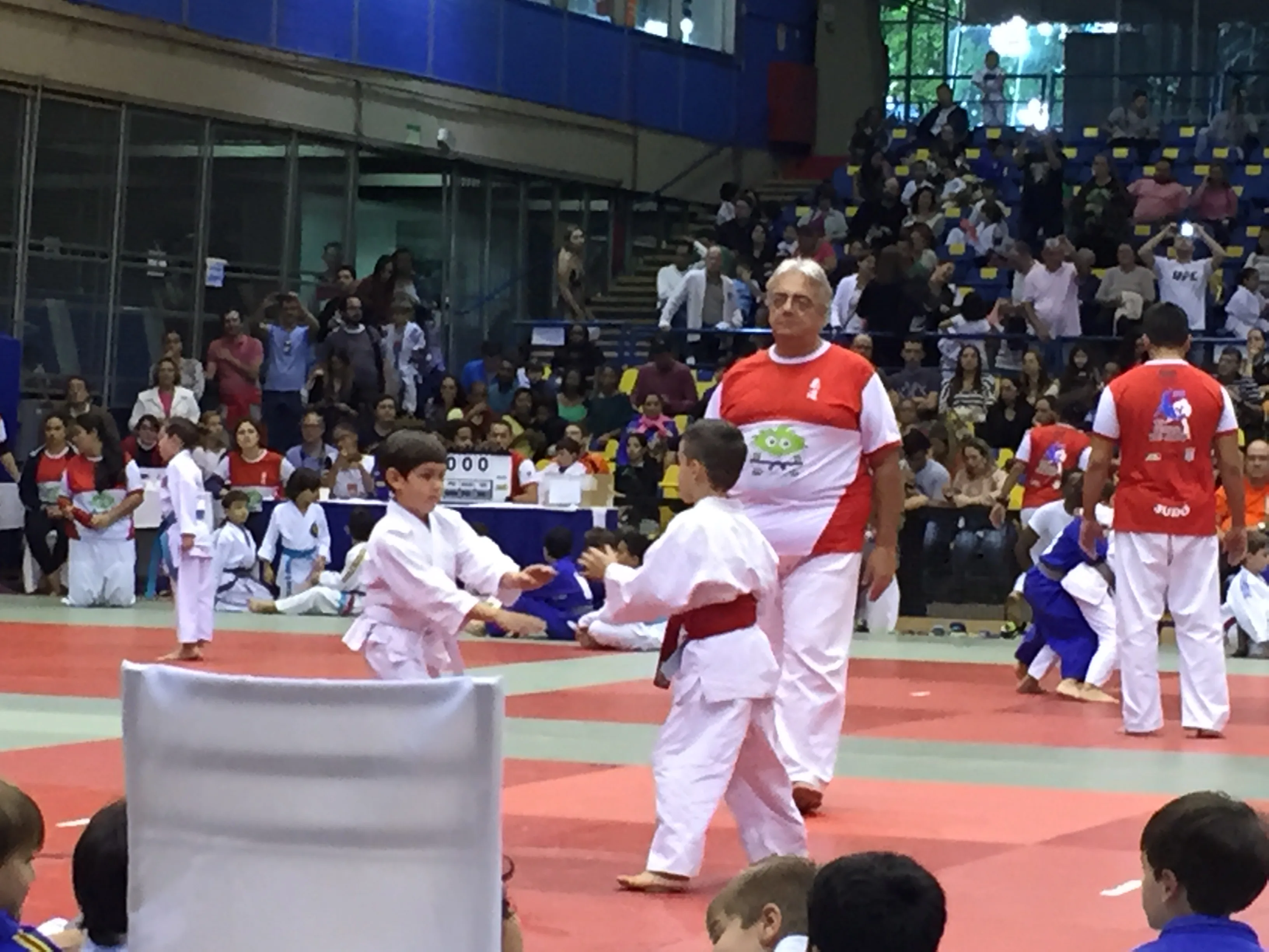 13º Festival de Judô 48 IMG_0834