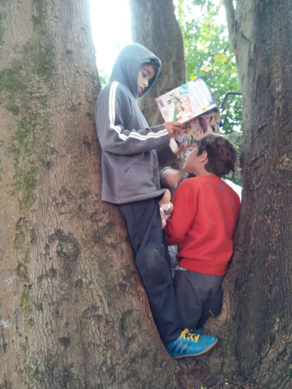 2016-09-21-photo-00000018