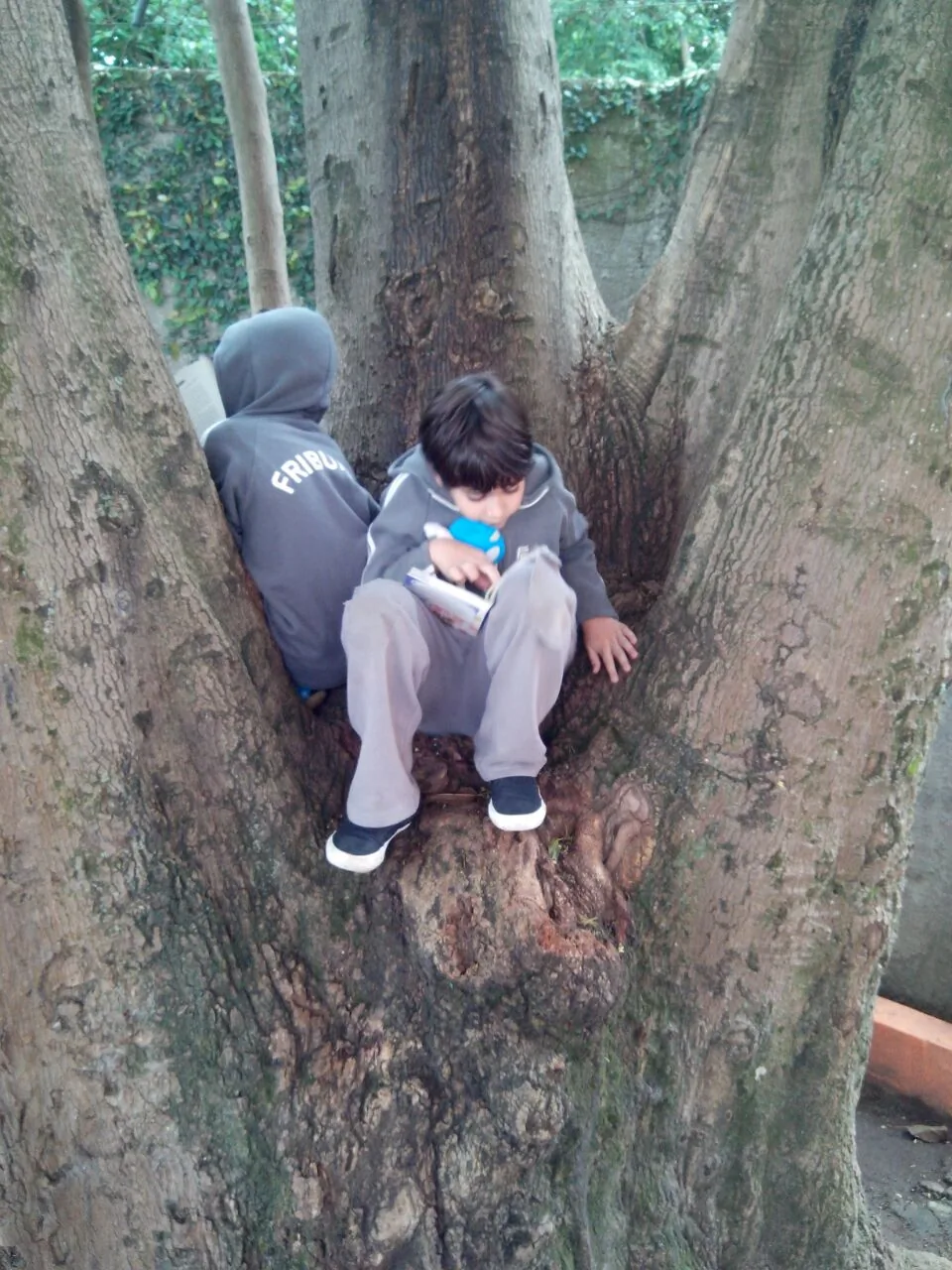 2016-09-21-photo-00000026