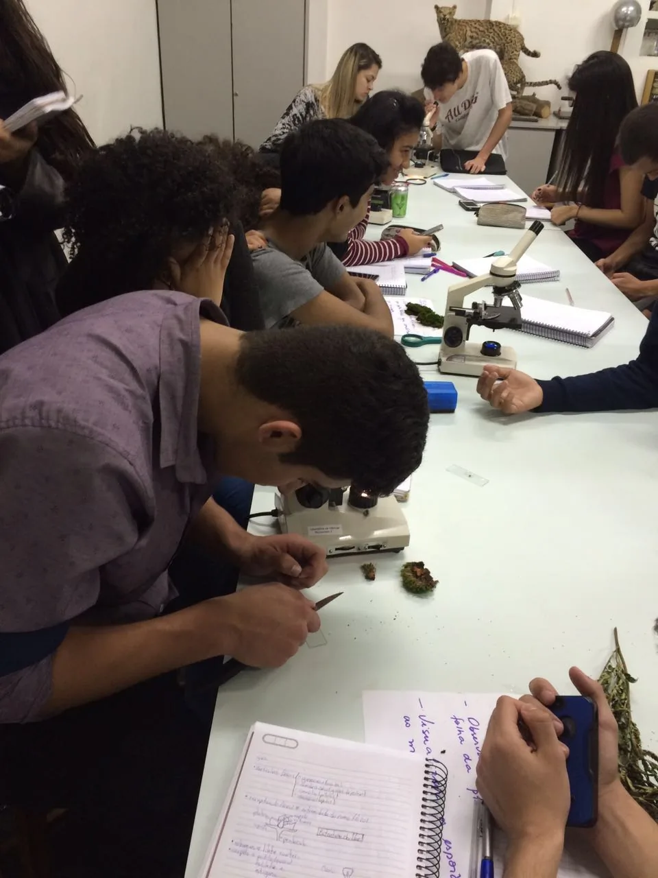 2016-09-21-photo-00000046