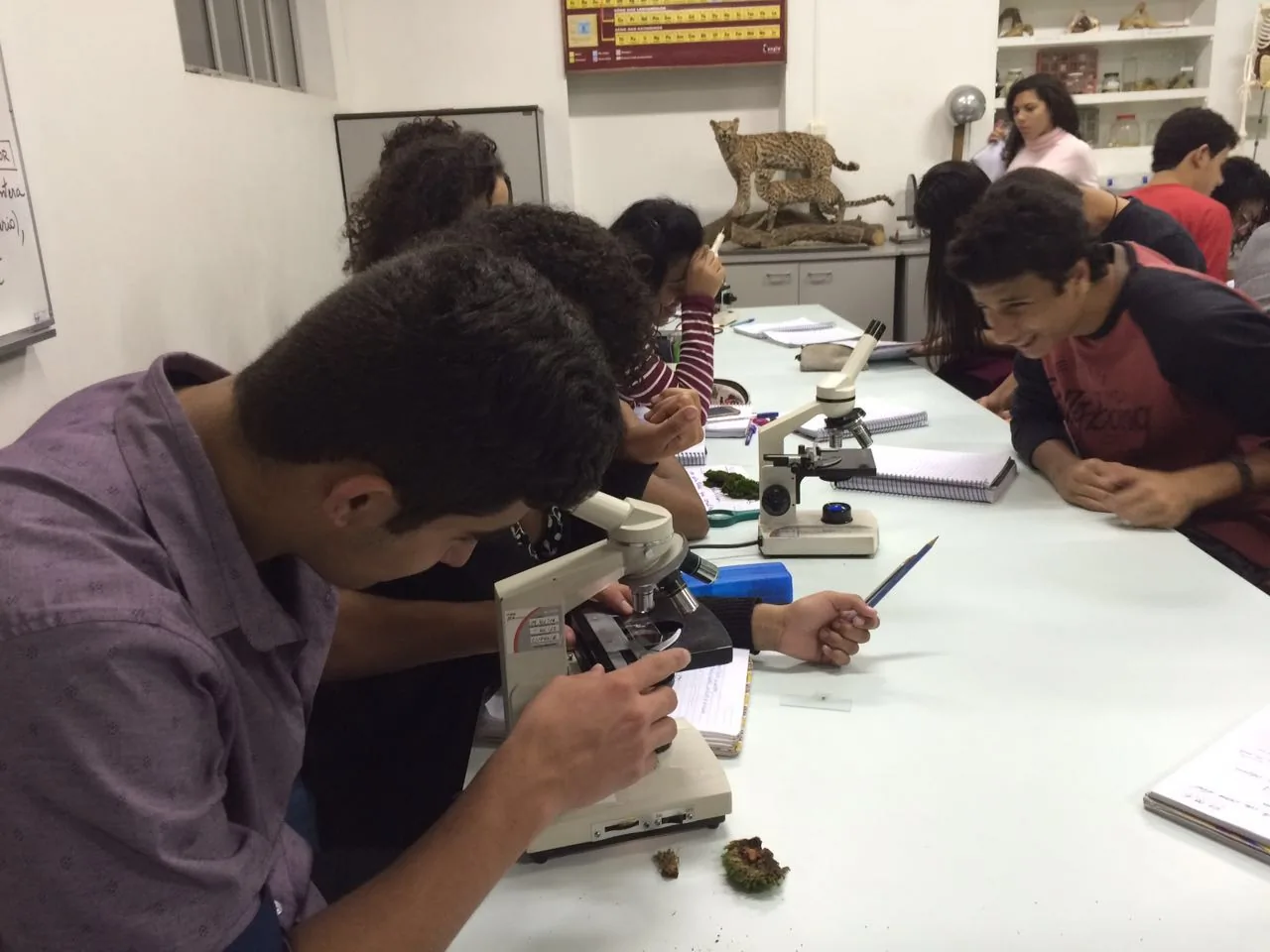 2016-09-21-photo-00000051