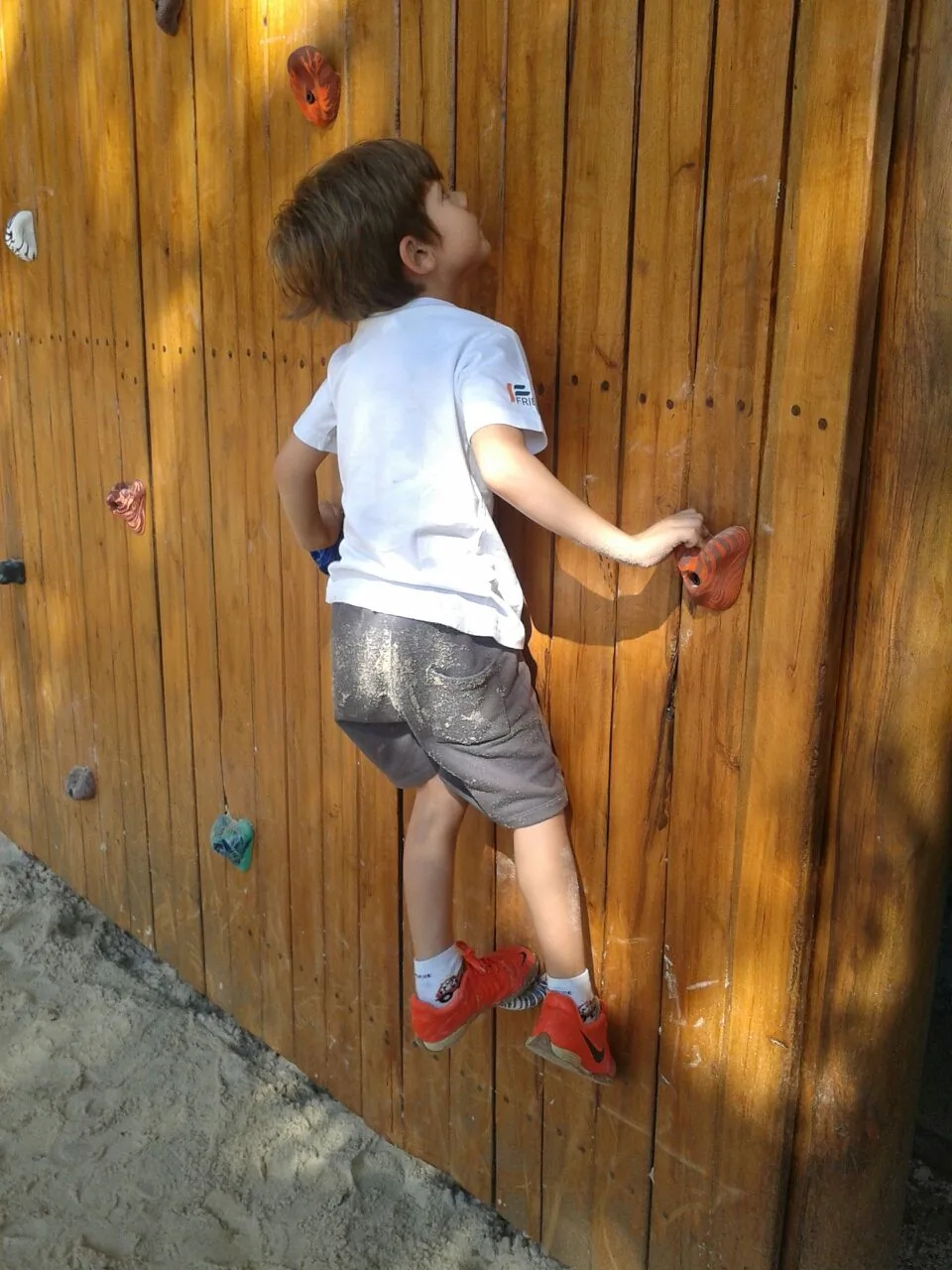 56de3557 670e 4dac 8158 75d54e8e66b1