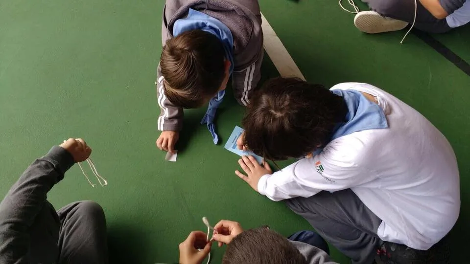 18485427 832371723598589 8211667003619184533 n