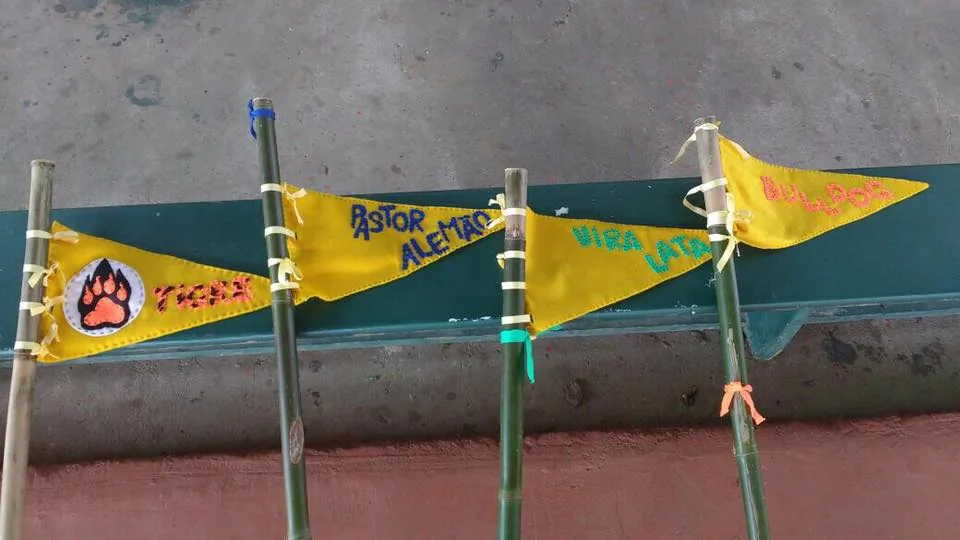 18581476 832371516931943 2662560978942204711 n