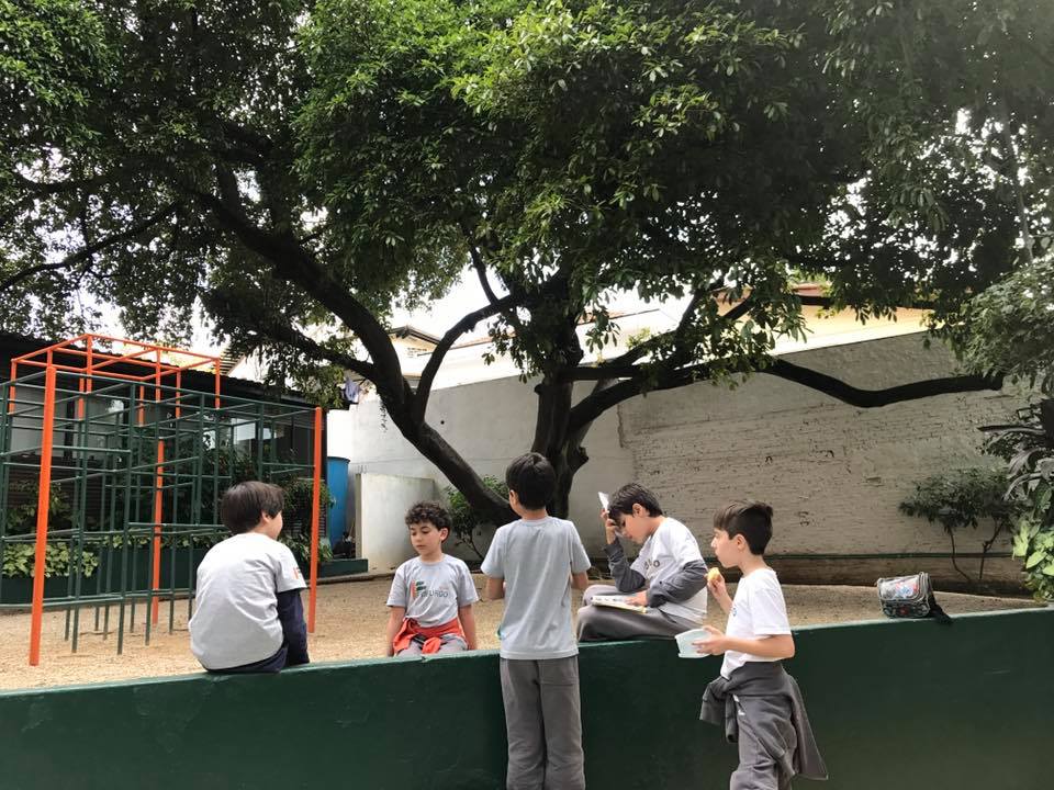 20620765 877868065715621 1246560499994335831 n