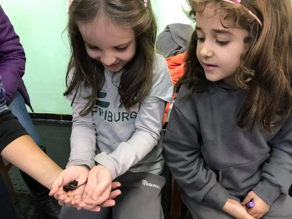 21270794 895240690645025 9181285028015218418 n