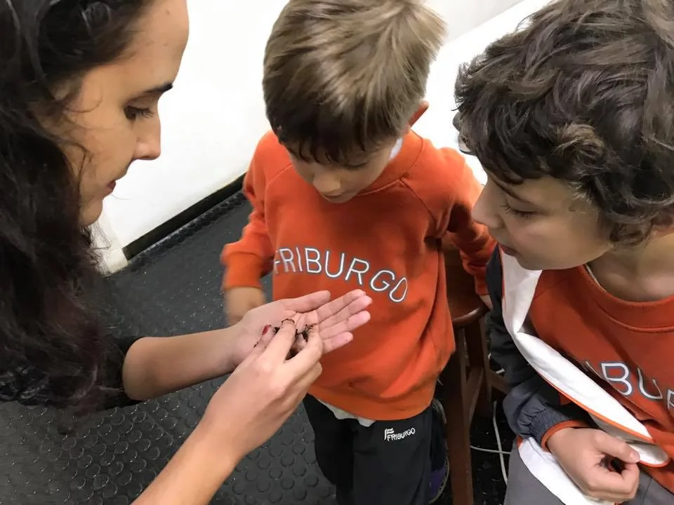 21314285 895240827311678 8249453377655822823 n