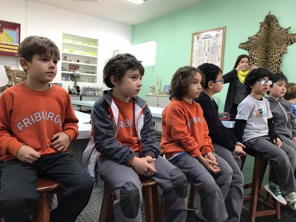 21314538 895240727311688 1154574871239461241 n