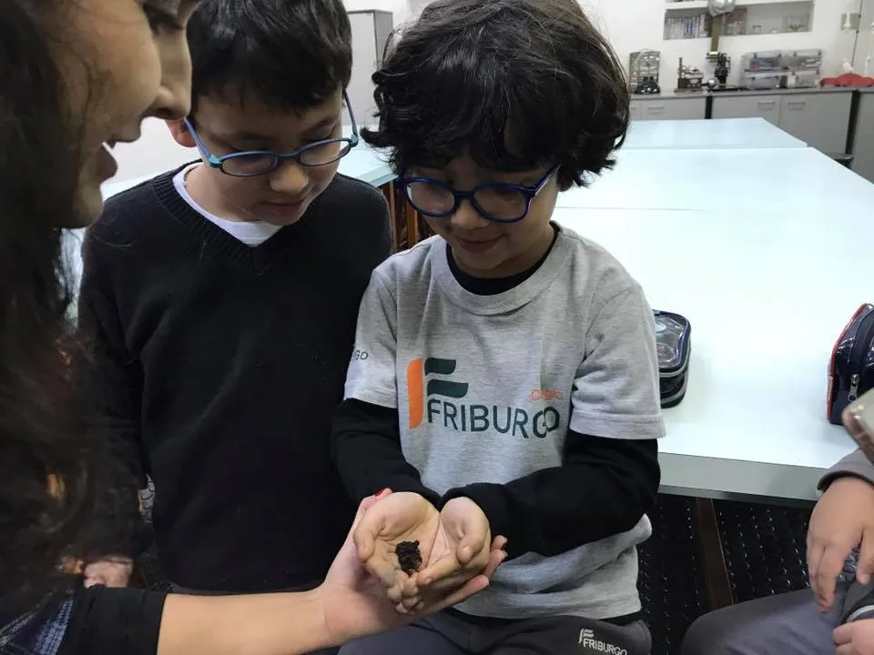 21369107 895240977311663 5321853311808615279 n