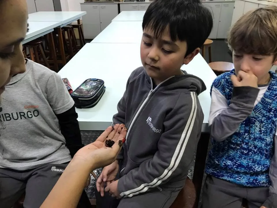 21369380 895241027311658 1317197964645305859 n