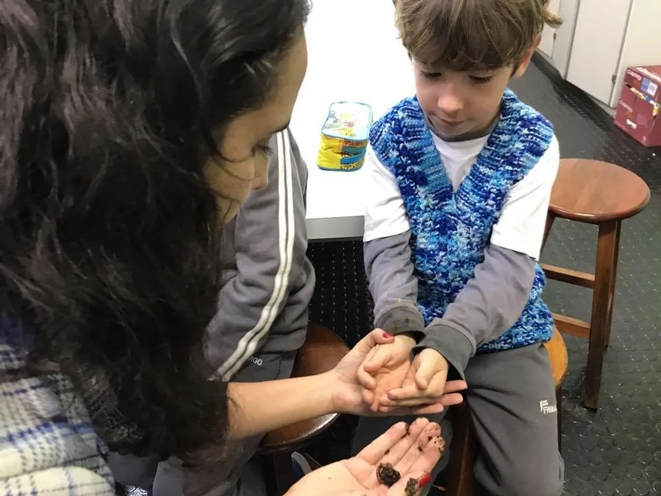 21369589 895241023978325 3362788109674099140 n