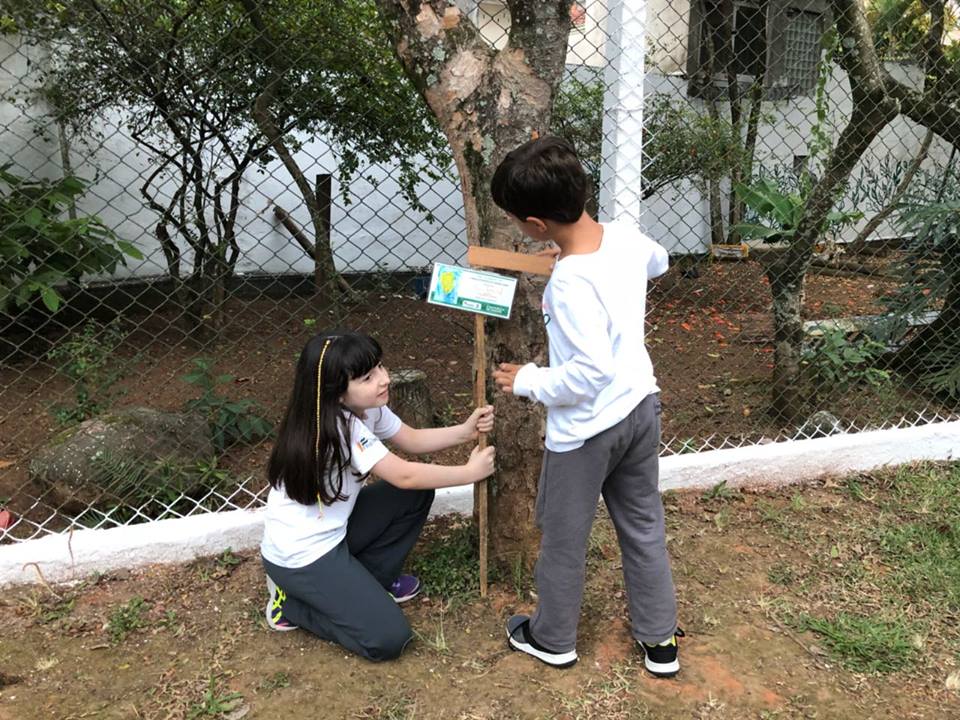 Catalogação das árvores 21 ar