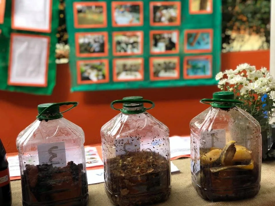 ConsCiência 2019 10 69426197 1381880751981014 8616486487845765120 n