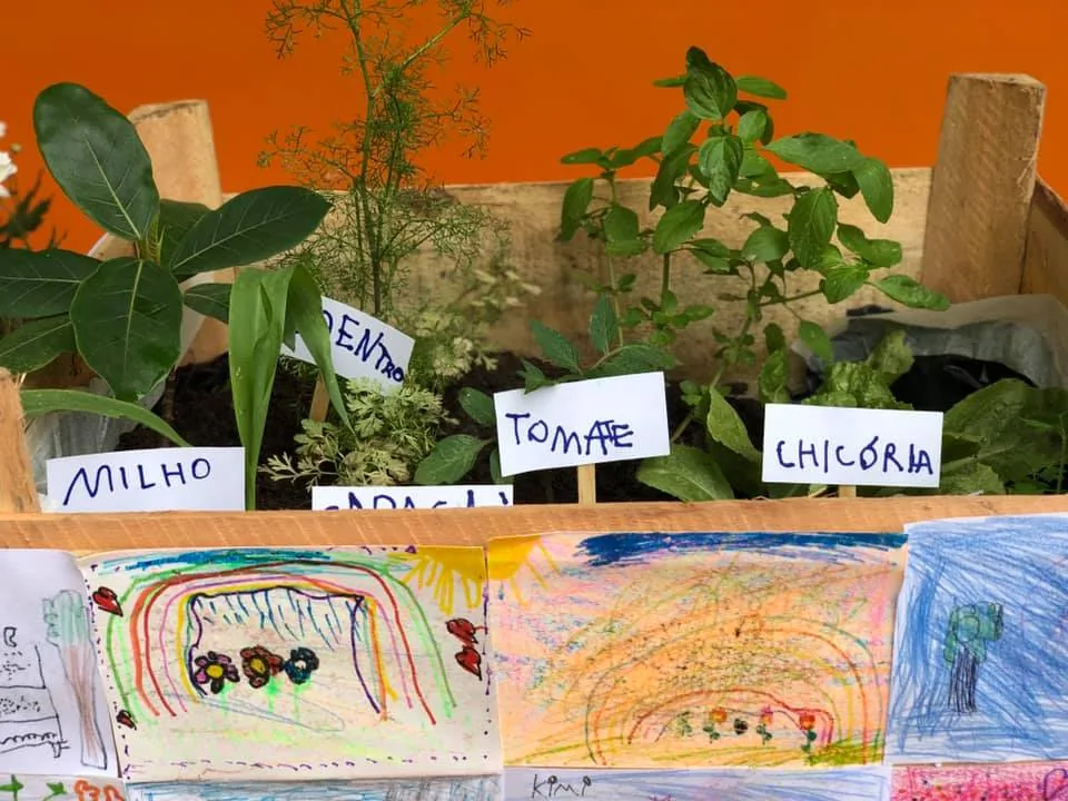 ConsCiência 2019 11 69525913 1381880741981015 4722326519161028608 n