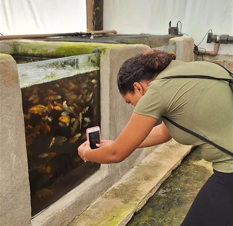 Exploração, aprendizado e aventura na Serra do Japi 11 20240608 140239