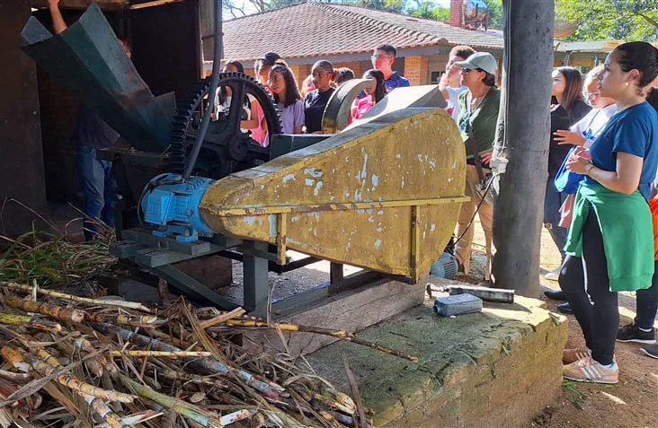 Exploração, aprendizado e aventura na Serra do Japi 13 20240608 150517