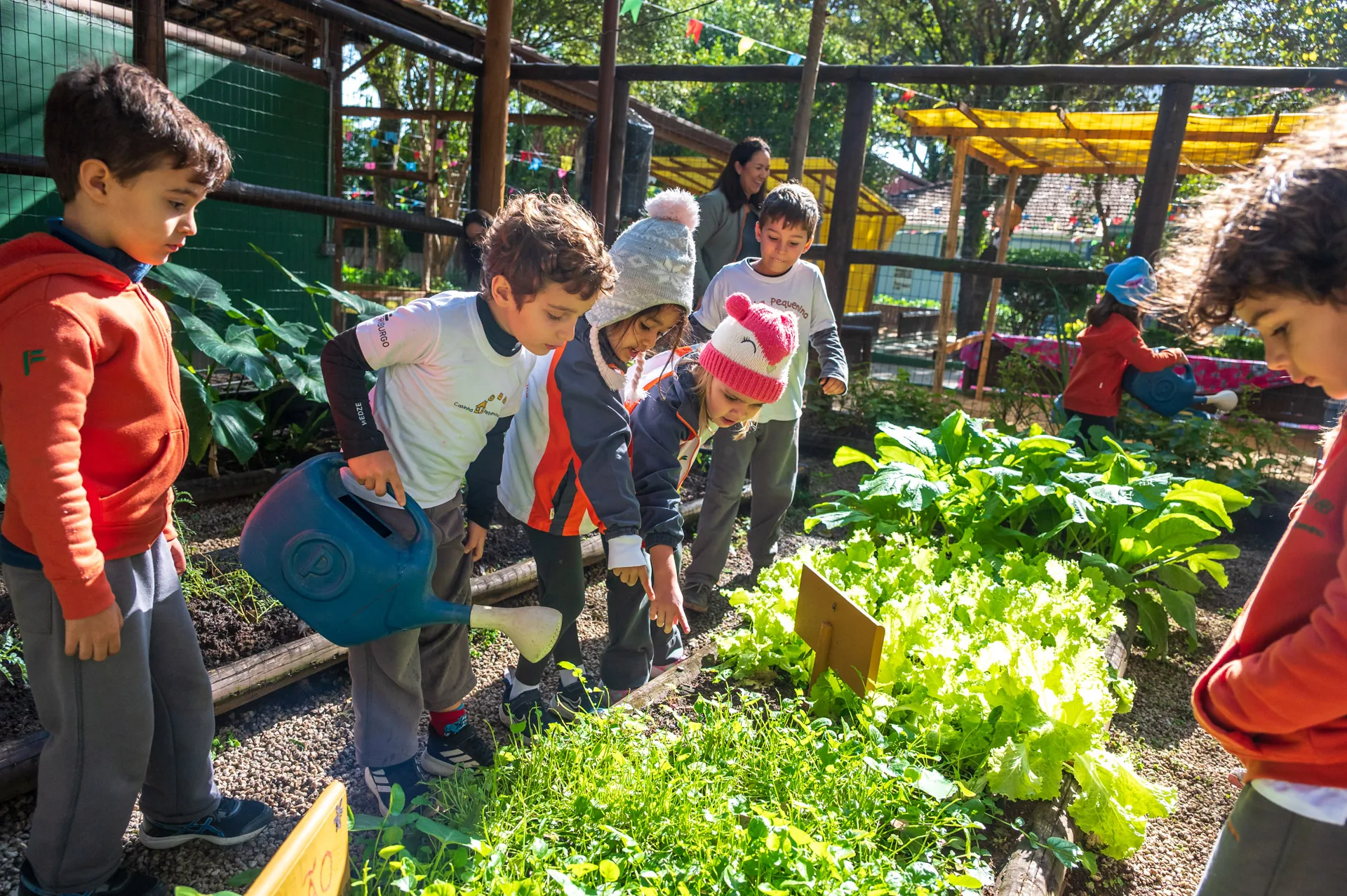 BR Casinha Pequena 284