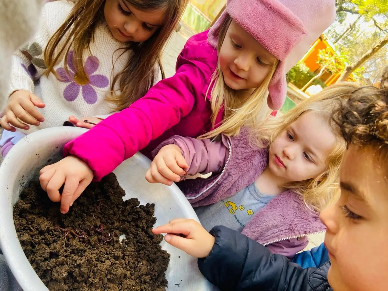 WhatsApp Image 2025 08 06 at 11.29.53